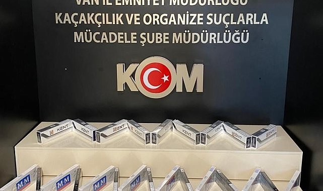 Van'da gümrük kaçakçılığı operasyonları