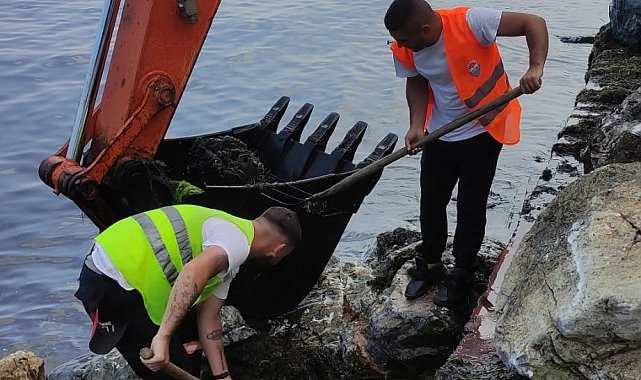 Yalova Belediyesi'nin yosunla mücadelesi devam ediyor