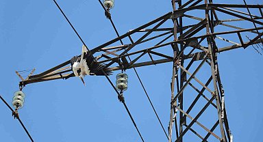 Yavru leylek, yuvasının bulunduğu elektrik direğinde telef oldu