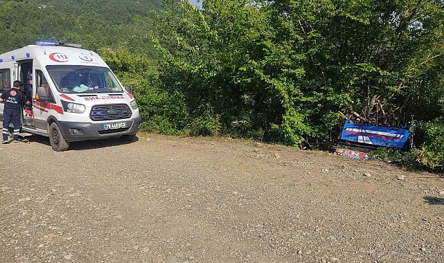 Yenice'de patpat ormanlık alana uçtu: 2 yaralı