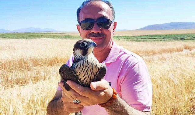 Yol kenarında yaralı buldukları doğana yardım eli uzattılar