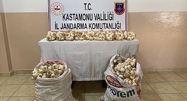 Yol kenarındaki tezgahtan çaldığı sarımsakları pazara götürürken jandarmaya yakalandı