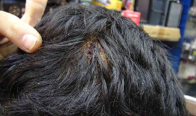50 liralık kumanda için dükkan basıp, tamirciyi dövdüler