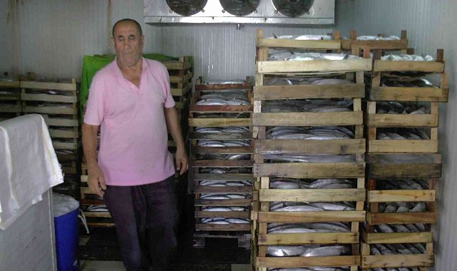 Akçakoca'dan 3 bin kasa palamut çıktı