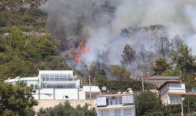 Alanya'da yerleşim yerine yakın alanda çıkan orman yangını kontrol altına alındı