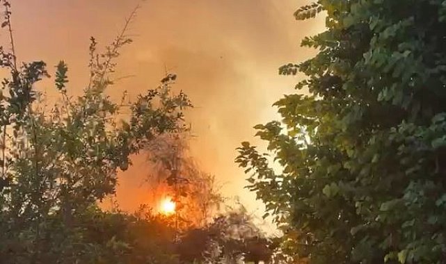 Antalya'da plaja yakın bölgede çıkan yangın korkuttu
