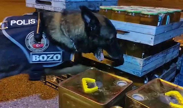 Arı kovanı içerisinden 2 kilo 500 gram metamfetamin çıktı
