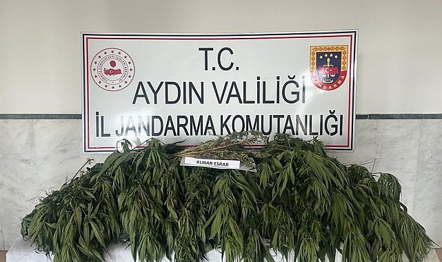Aydın'da uyuşturucu ile mücadelede bir haftada 7 kişi tutuklandı