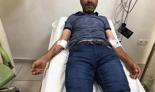 Ayı çobana saldırdı
