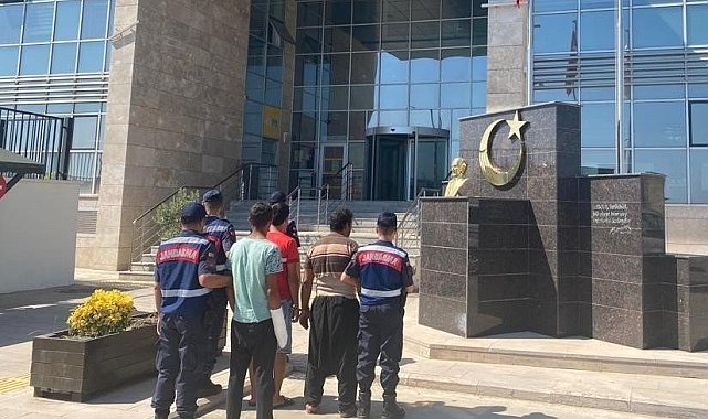 Bahçeden avokado çalarken yakalanan 2 şüpheli tutuklandı