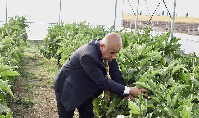 Bakan Kirişci: "Yılın ilk 8 ayında tarım ürünleri ihracatımız 21,5 milyar dolar"