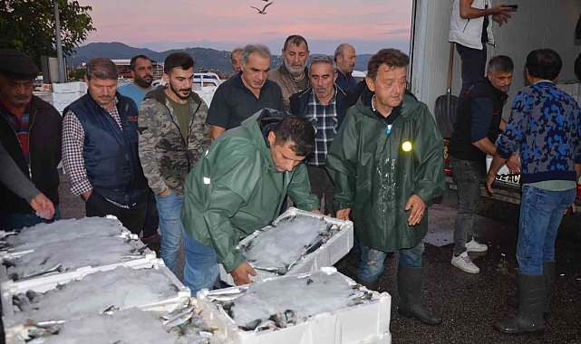 Balıkçıların gün doğmadan başlayan 'hal' mesaisi