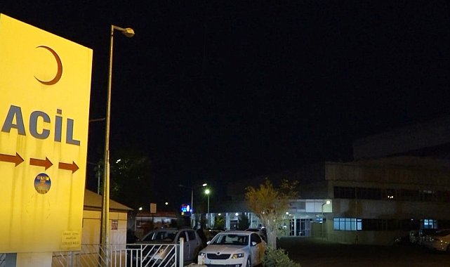 Bingöl'de yine ayı saldırısı: Yaralanan çoban hastaneye kaldırıldı