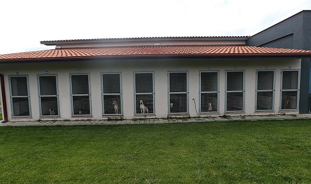 Can dostlarının en güvenli merkezi hizmete başladı
