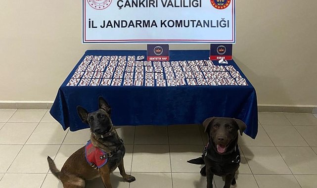 Çankırı'da bin 14 adet sentetik hap ele geçirildi: 1 tutuklama