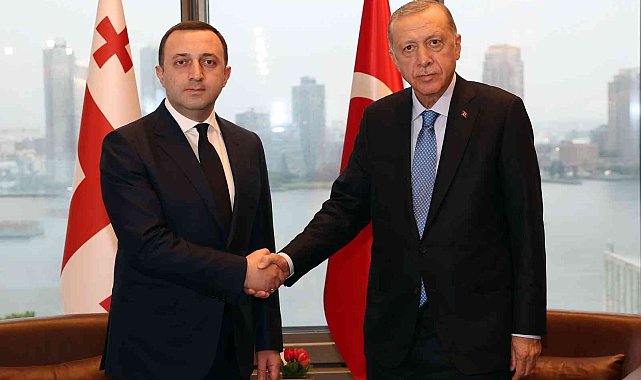 Cumhurbaşkanı Erdoğan, Gürcistan Başbakanı Garibaşvili ile bir araya geldi