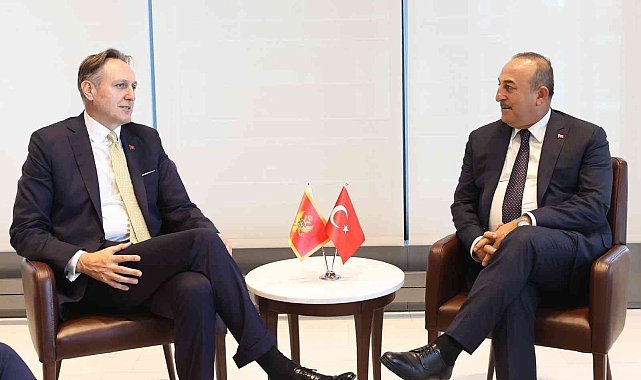 Dışişleri Bakanı Çavuşoğlu, Karadağlı mevkidaşı Krivokapic ile görüştü