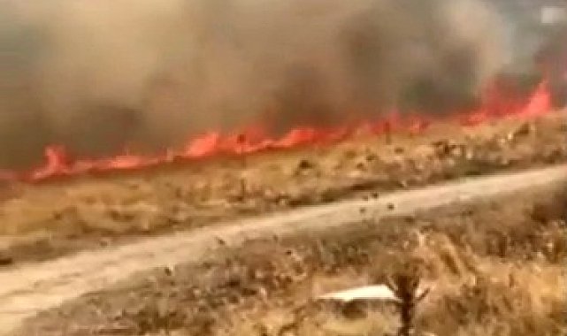 Elazığ'da korkutan yangın: 10 dönüm alan zarar gördü