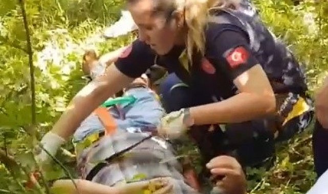 Fındık bahçesinde temizlik yaparken hastanelik oldu