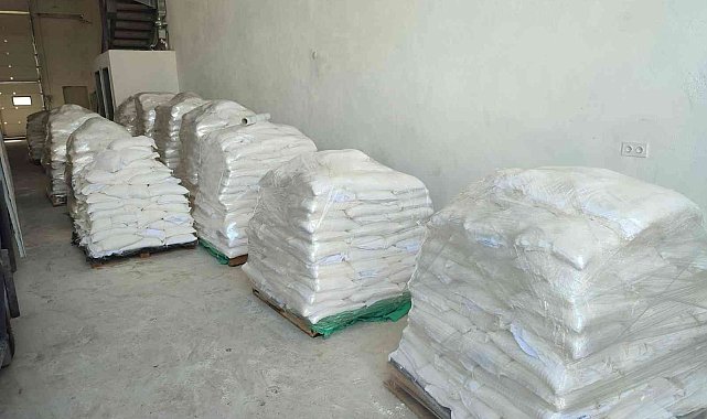 Gölcük Belediyesi'nin yetiştirdiği buğdaylar, ihtiyaç sahipleri için yaklaşık 10 ton una dönüştü