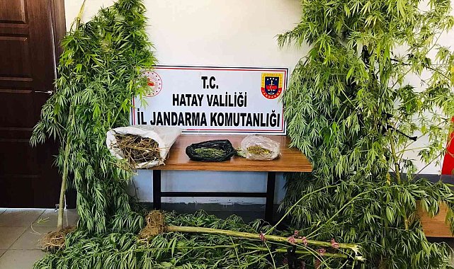Hatay'da uyuşturucu operasyonu