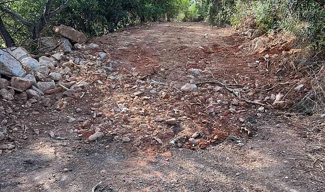 Heybeliada ormanlarını moloz çöplüğüne çevirdiler