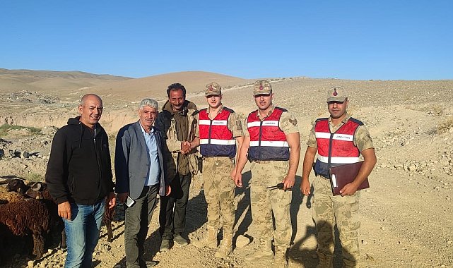 Iğdır'da hayvan hırsızlığı yapanlar yakalandı
