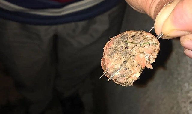 İğneleri sucuklara saplayıp köpeklere yedirmeye çalıştılar