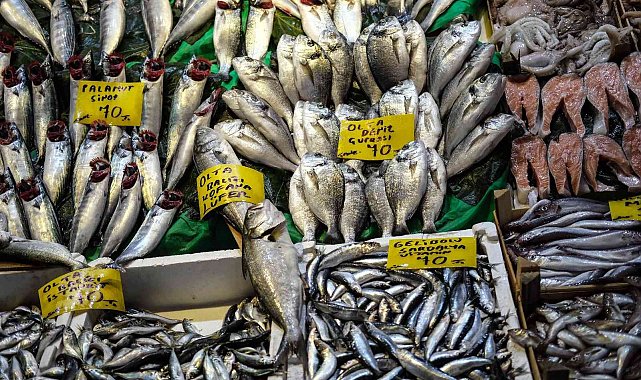 İstanbul'da tezgahlarda balık çeşitliliği yaşanıyor