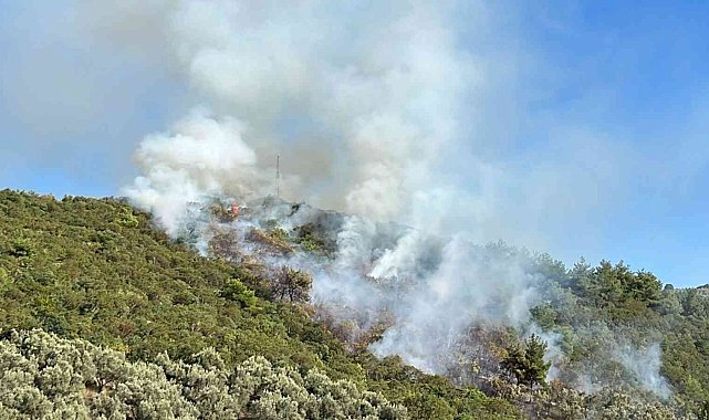 İznik'te orman yangını...Helikopter defalarca gölden su aldı