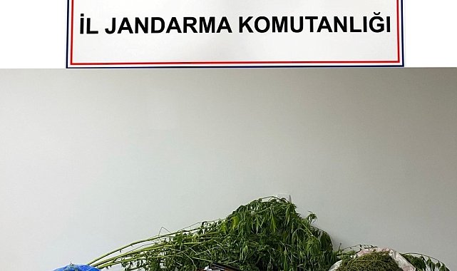 Jandarma tacirden kilolarca esrar ele geçirdi