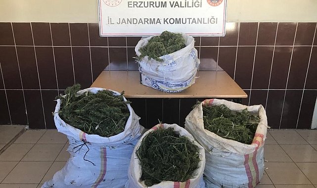 Jandarmadan uyuşturucu operasyonu