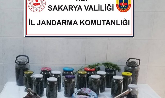 Jandarmadan uyuşturucuya geçit yok: 2 gözaltı