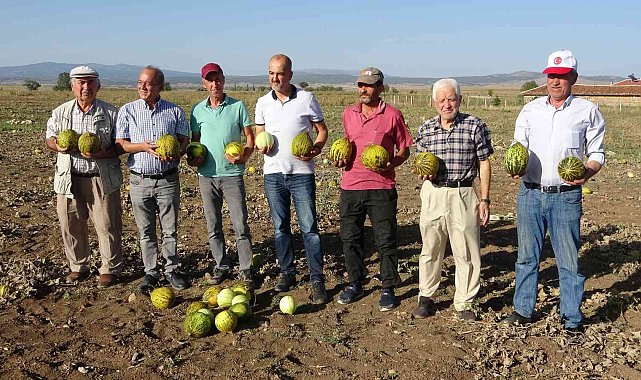 Kütahya'nın meşhur 'Terziler kavunu' tezgahlardaki yerini aldı