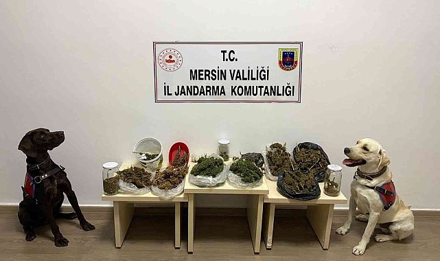 Mersin'de uyuşturucu operasyonu