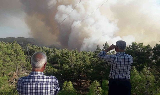 Muğla-Denizli sınırındaki orman yangını devam ediyor