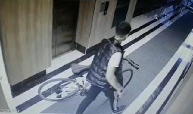 Ne buldularsa çaldılar