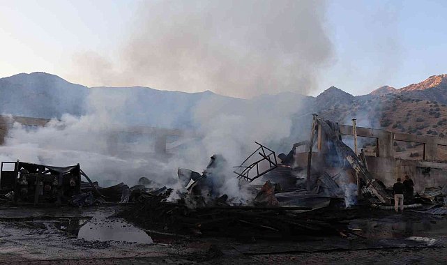 Oltu'da kereste fabrikası yandı, zarar 50 milyon TL