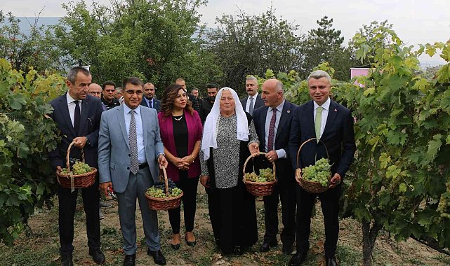 Safranbolu'nun yerel ürünü 'çavuş üzümü'ne coğrafi işaret