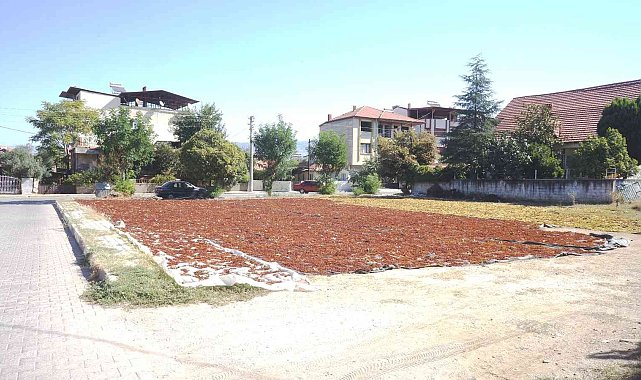 Sarıgöl'de üzüm sergi alanları şehre taştı