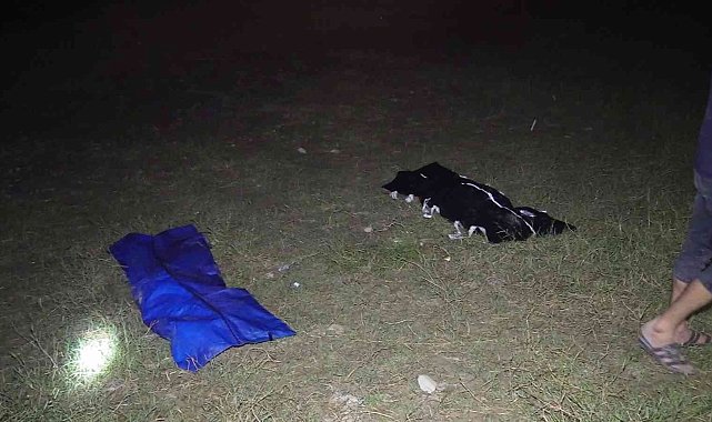 Serinlemek için gölete giren 2 kardeş boğuldu