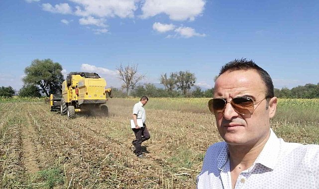 Simav'da yağlık ayçiçeği projesinde hasat dönemi başladı