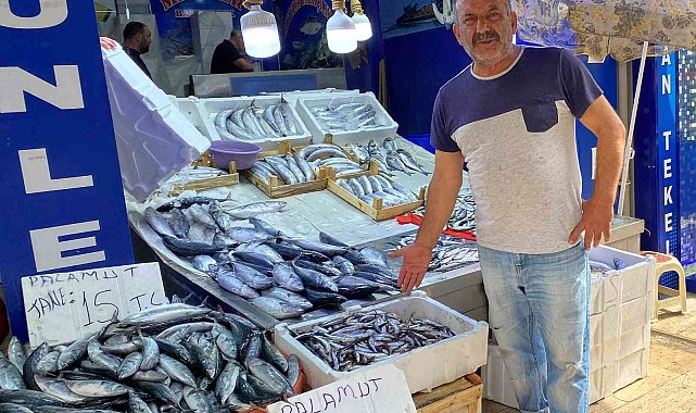 Sinop'ta az miktarda avlanan hamsinin kilosu 50 TL