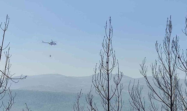 Söndürüldükten sonra yeniden alevlenen yangında soğutma çalışmaları sürüyor