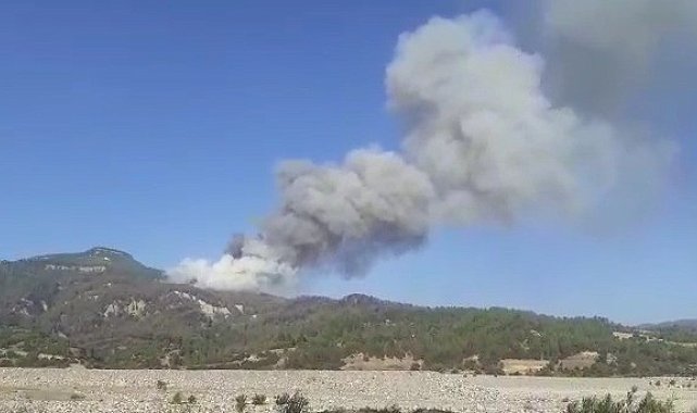 Söndürülen yangın zirveden patlak verdi