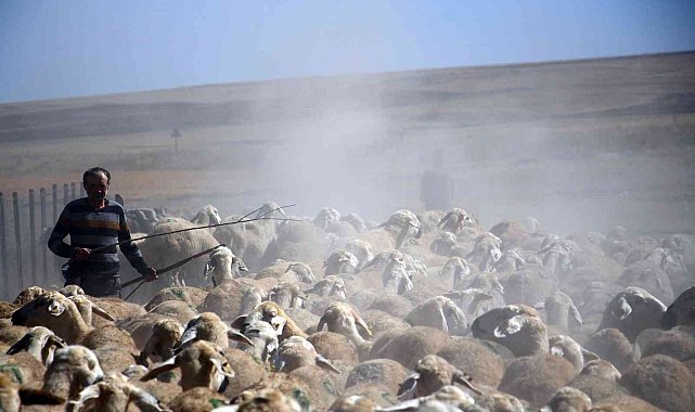 Suya ulaşmak için 15 kilometrelik tozlu yolculuk