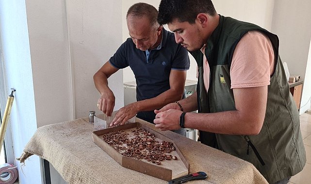 TMO Zonguldak'ta 427 ton fındık aldı