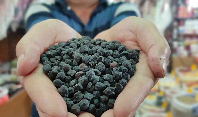 Tohumunu yurt dışından getirdi, büyük talep görüyor