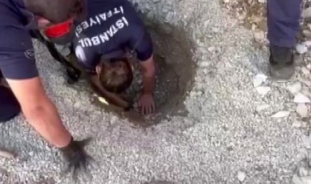 Ümraniye'de kedi kurtarma operasyonu kamerada: Boru hattında mahsur kalan yavru kedi kurtarıldı
