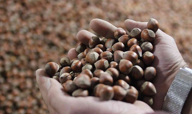 Üreticiye Ferrero'ya karşı TMO ve FİSKOBİRLİK önerisi